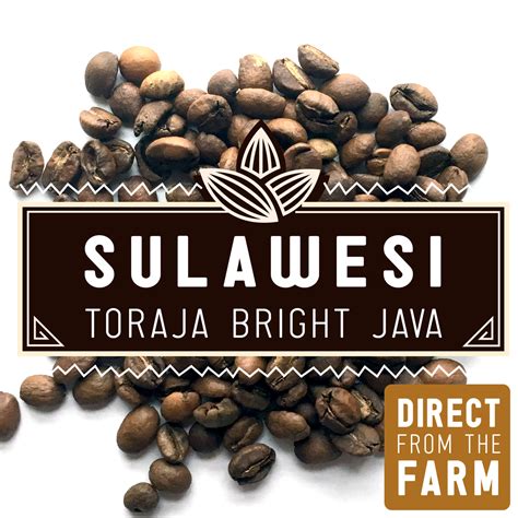 sulawesi toraja coffee